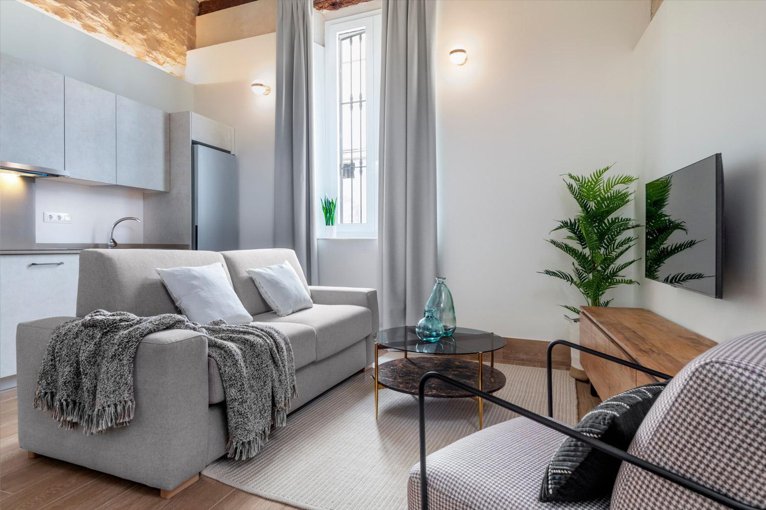 Appartement Magno Almansa